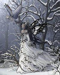 某科学的天与暴君